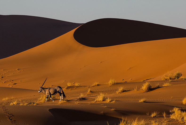 Sossus Vlei